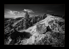 Novoholska IR
