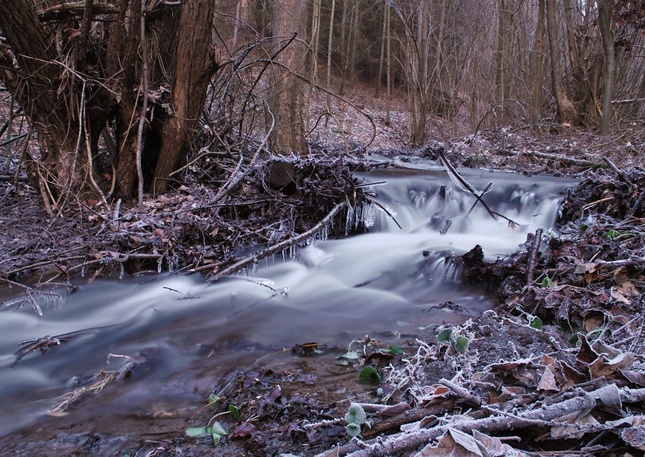 Winter creek