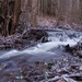 Winter creek