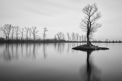Silence ...