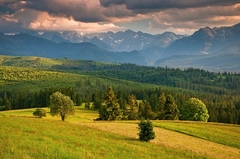 Widok na Tatry