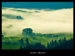 pastieri z Magury