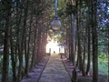 cesta do neznáma