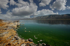Kenya - Lake Bogoria
