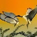 ibis posvátný
