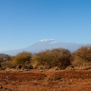 Kilimanjáro