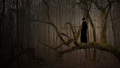 evil in nature