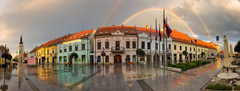 Trnavská dvojitá