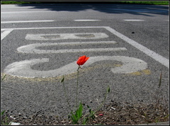 BUS STOP