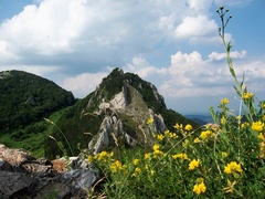 vrsatec