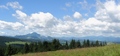 Fatra