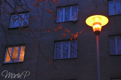 Podvecer pod domom