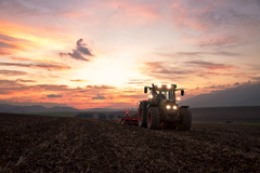 sunset on a field