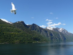 Geirangerfjord