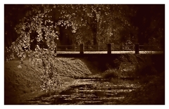bridge