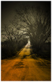 road to nowhere