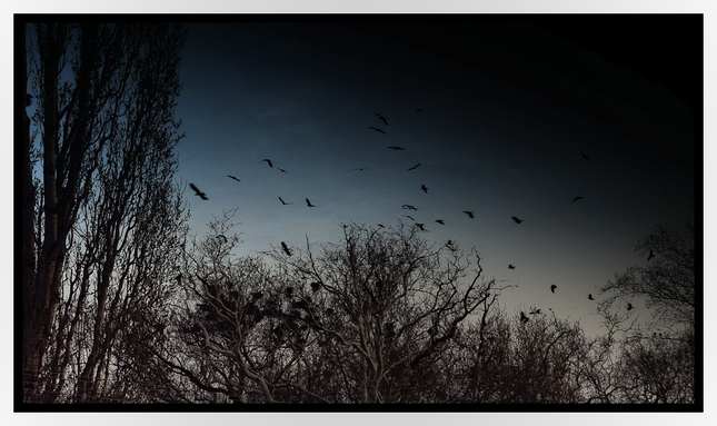Those who bring the darkness