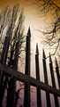 Iron Spires
