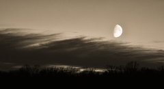 Clouds and the moon...