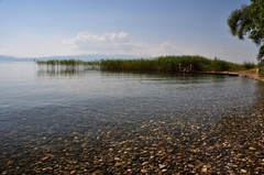 rybári