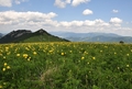 vo Fatre