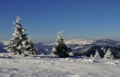 vo Fatre