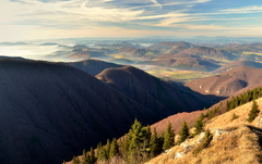 krtince (Slovenské)