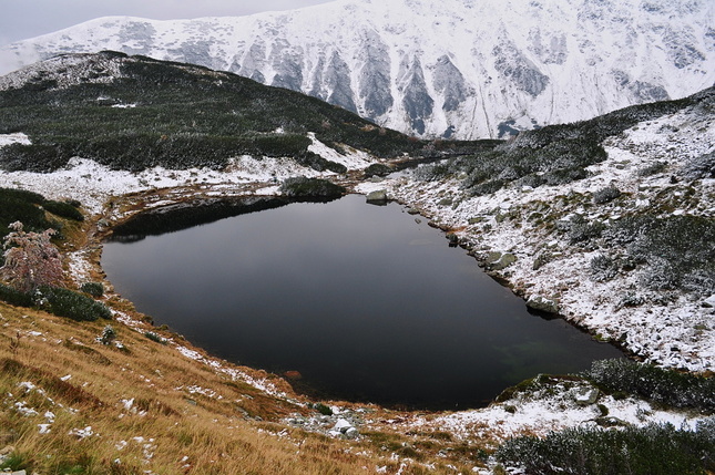 ropná škvrna