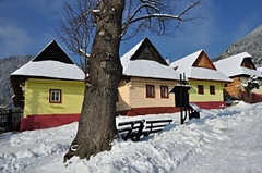 medzi domami