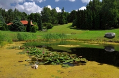 jazierko