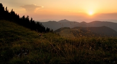 Jeden pohľad proti slnku.