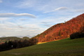 zelený a ryšavý
