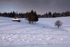 Trojkáľové ráno na samote