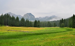 farby po daždi