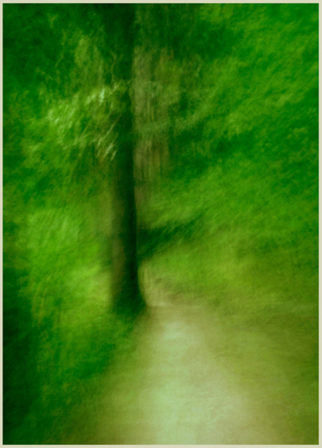 ... cestičky -1- ...