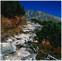 ... jeseň v Ta3 ....