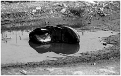 .... stratený .... ( nie Stano  