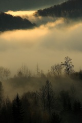 Les 