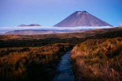Sopka Ngauruhoe