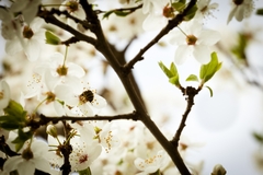 You cant hide forever