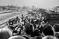 Auschwitz Museum
