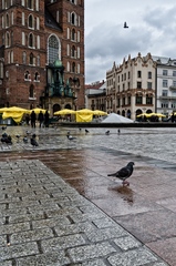 Krakow