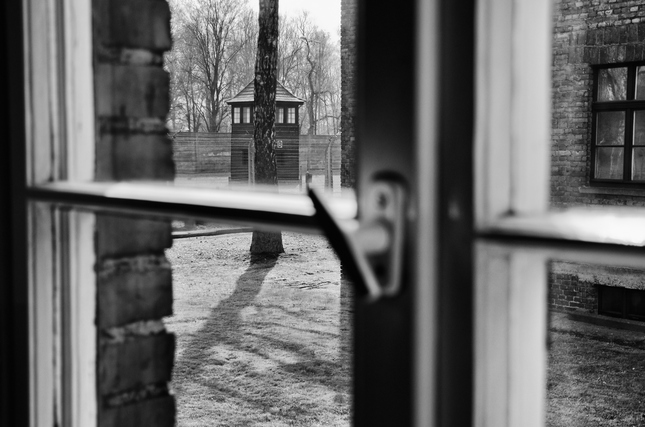 Auschwitz - Birkenau I