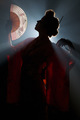 Geisha silhouette