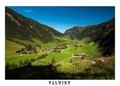 Talwirt