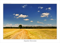 Slovakia
