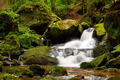 Ysperklamm I