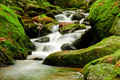 Ysperklamm III