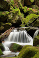 Ysperklamm II