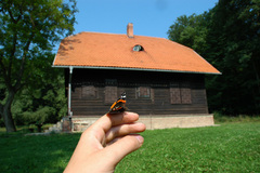 Domov